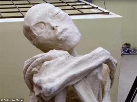 Heboh Penemuan Mumi Misterius Yang Diduga Alien! Ini Fakta Apa Hoax Ya ...