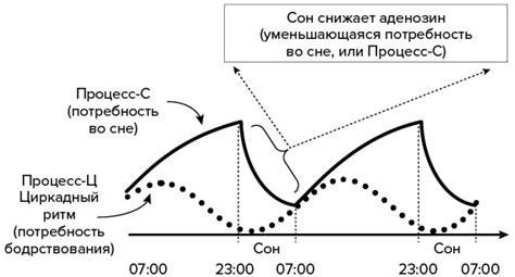 Книга Зачем мы спим. Новая наука о сне и сновидениях, страница 10 ...