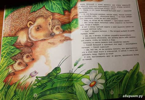Книга: Познавательные сказки: Мама-ежиха - Лариса Тарасенко. Купить ...
