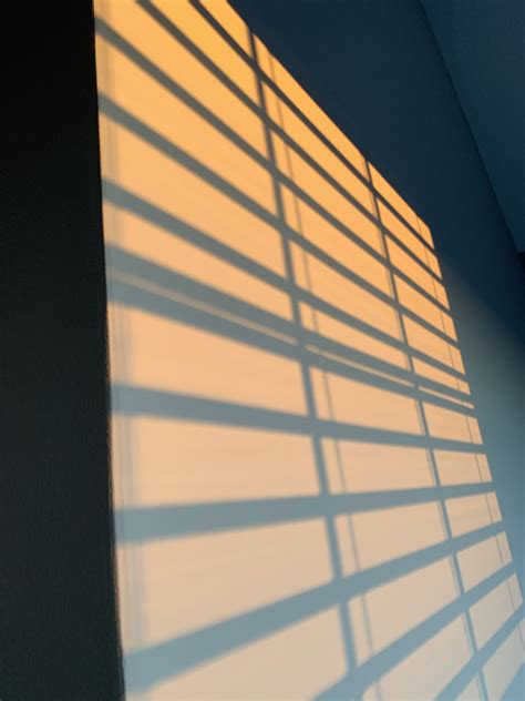 Sun Blinds Wallpaper | Home Decor