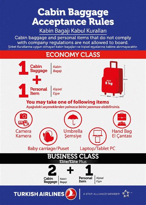 Turkish Airlines - авиакомпания Турецкие авиалинии, нормы провоза ...