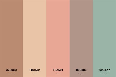 20+ Best Terracotta Color Palettes with Names and Hex Codes ...