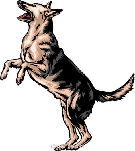 German Shepherd PNG