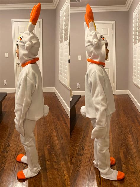 pokemon dog outfit 3