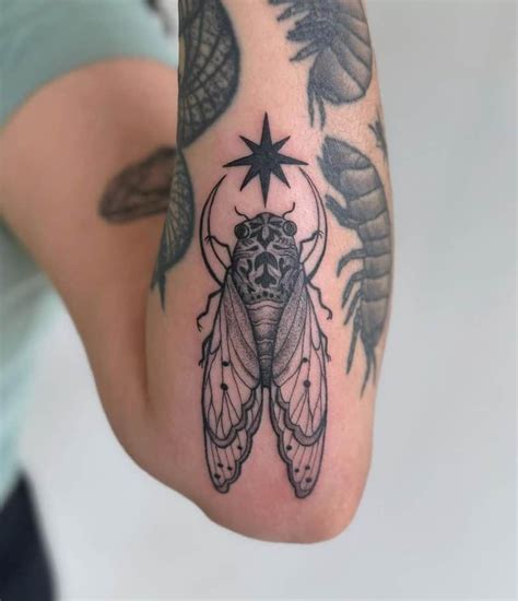 cicada tattoo ideas     buzzing  style cicada
