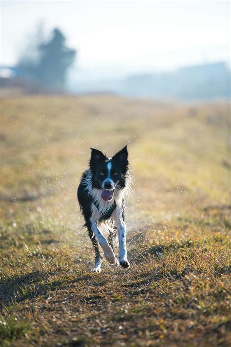 Long+Tongue+Lesbians Photos, Download The BEST Free Long+Tongue