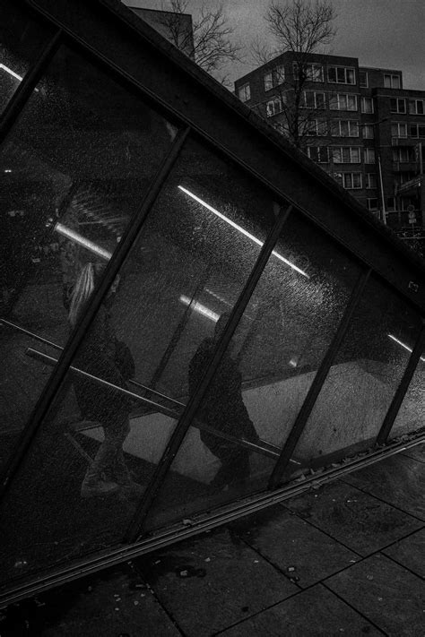 Sophie Rain: Unveiling The Rise Of A Digital Star