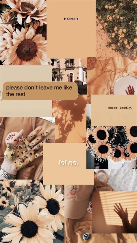 Download Brown Pastel Aesthetic Flowers And Quotes Collage Wallpaper ...