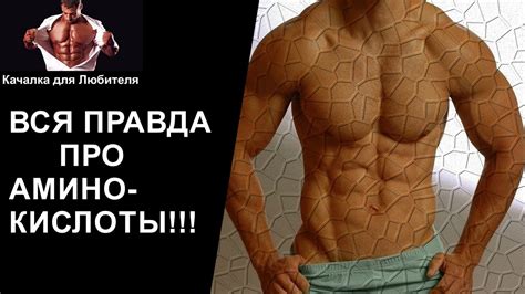 АМИНОКИСЛОТЫ В БОДИБИЛДИНГЕ (ФИТНЕСЕ)! - YouTube