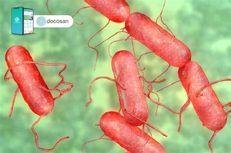 vi khuan thuong han dac diem va cach phong ngua hieu qua doctor  san