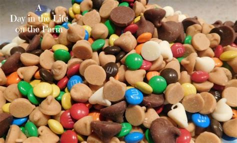 A Day in the Life on the Farm: Clean the Cupboard Cookie Bars # ...