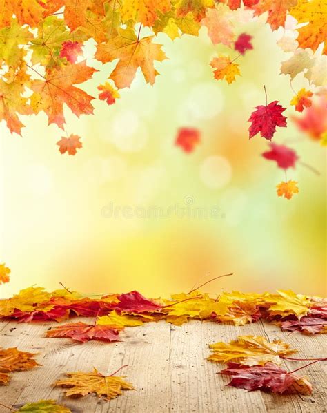 Autumn background stock photo. Image of autumn, bright - 59018476