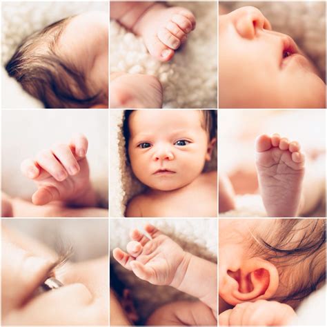 Newborn Baby Photos, Newborn Baby Photography, Newborn Pictures ...