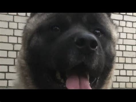 ПИКСЕЛЬНОЕ ЛИЦО!!!! - YouTube