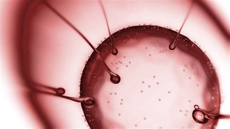 human cell tigtag