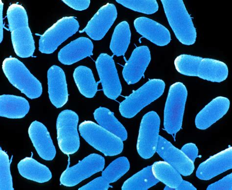 Listeria fears prompts Houston company to recall packaged food
