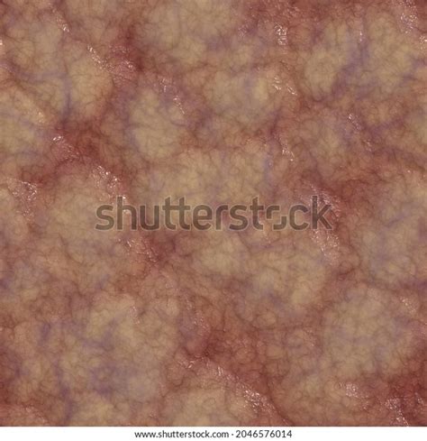 flesh texture  images pictures shutterstock