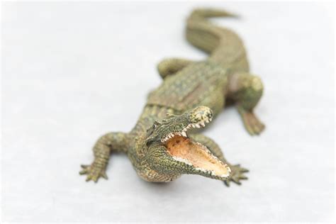 Naughty, Erotic Cold Painted Bronze Alligator with Nude Inside Signed