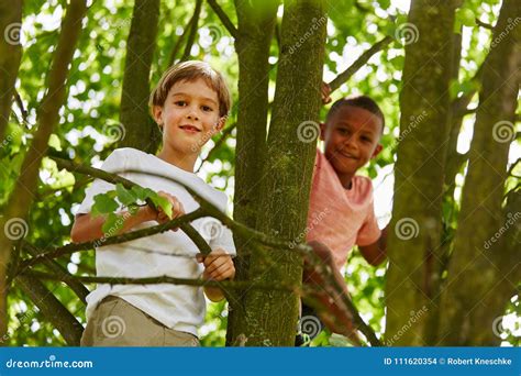 Two boys climbing tree stock photo. Image of children - 111620354