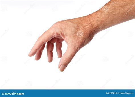 Male Hand Royalty Free Stock Photo - Image: 8203815