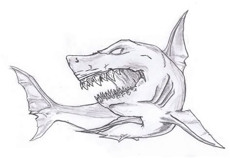 Realistic Megalodon Shark Drawing