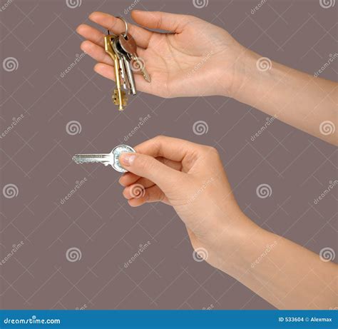 Gesture set 4 stock photo. Image of geste, holding, expressive - 533604