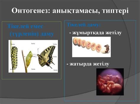Даму генетикасы - презентация онлайн