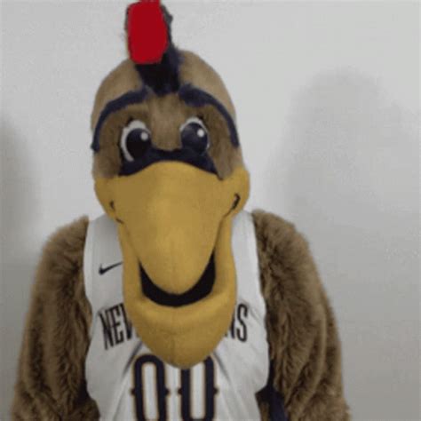 orleans pelicans mascot gif neworleanspelicans mascot dab