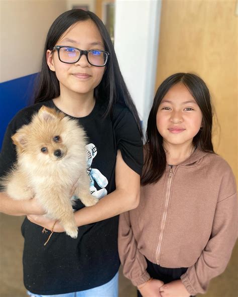 Premier Vet Care (@premiervetcareanimalclinic) • Instagram photos and