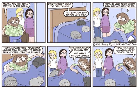 Whomp! - Cat Man Don't