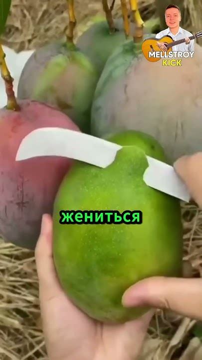 Дела семейные... - YouTube