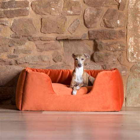 Camas Para Cães Pequenos - Fabricante de camas para cães pequenos