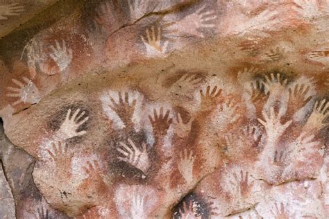 What are Homo sapiens? | Live Science