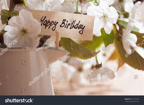 Happy Birthday Greeting Card White Flowers Stock Photo 187712729 ...