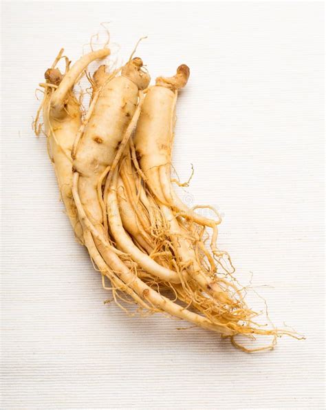 Fresh Ginseng close up stock photo. Image of white, vegetable - 35352414
