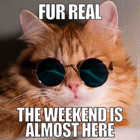 Almost Weekend Meme