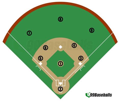 Basic Guide to Baseball Positions - 99Baseballs.com