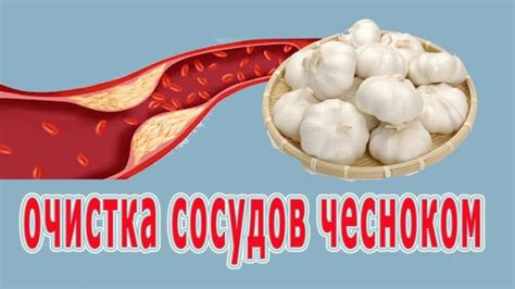 Чесън при налягане