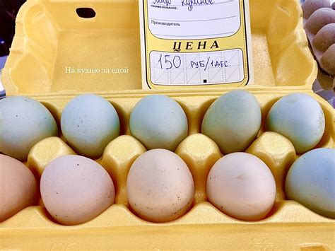 Голубые, зелёные, розовые куриные яйца: какие породы кур несут ...