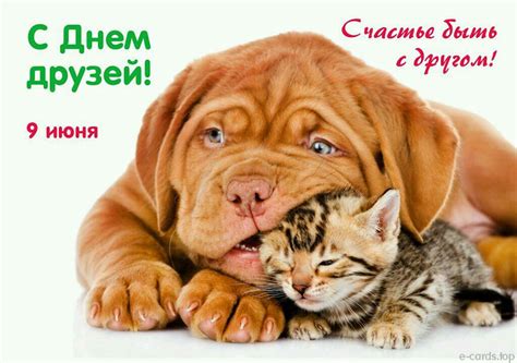 Вам друзья — DRIVE2