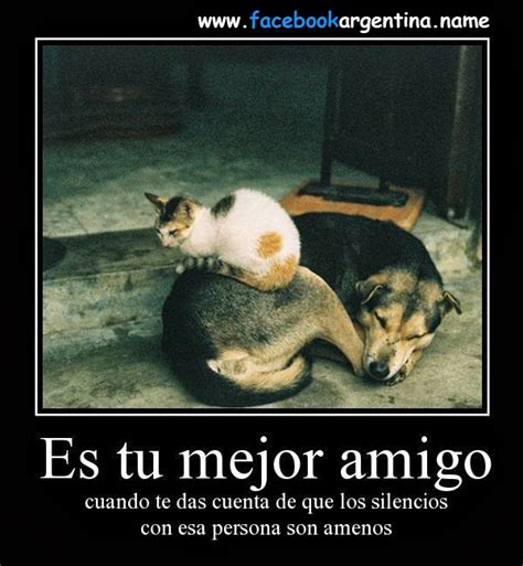 las mejores frases  publicar en fb frases de amigo es tu mejor