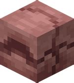 Armadillo – Minecraft Wiki