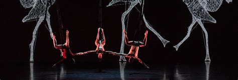Stalker Theatre headlines Real Festival - Penrith City Council