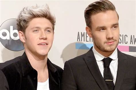 Niall Horan and Liam Payne Become Twitter Fan Girls [PHOTOS]