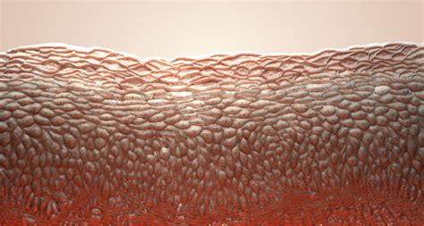 Gene Therapy Fixes Rare Skin Disease | Science News Learning