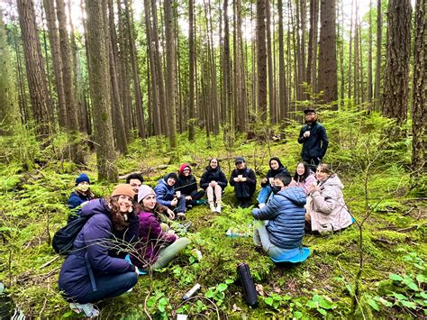 TW Pornstars - Tara Tiger Brown Ⓥ 🌲💚. Twitter. My new secret forest