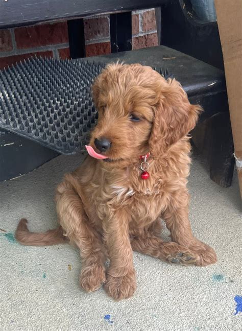 Mamaw's Doodles - Mamaw's Doodles added a new photo.