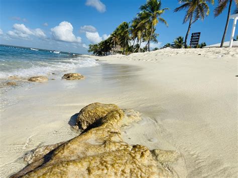 Excursion Île de Catalina - République Dominicaine - Punta Cana