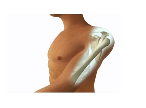 understanding shoulder anatomy depuy synthes