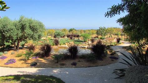 Designing Sustainable Landscapes in Hot and Dry Climates